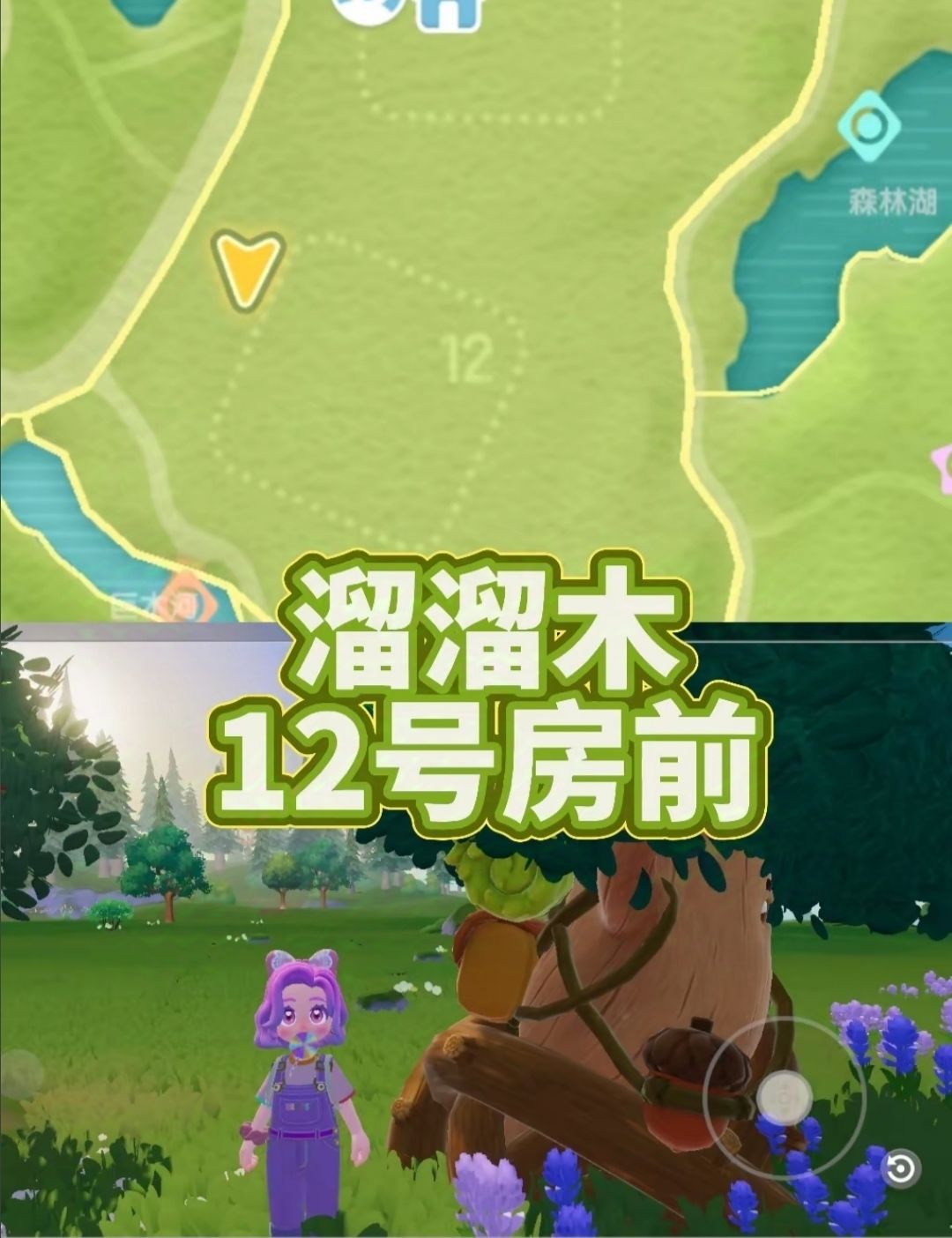 [12月7日]今天日常 3