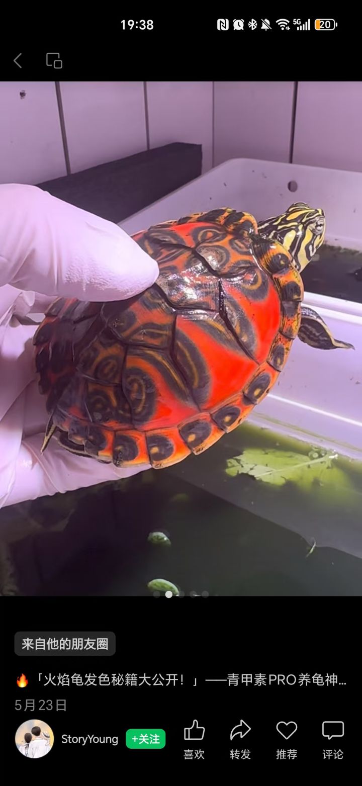 听说那个不吃饭的几百粉丝大网红是在尤文群截图的啊 也不知道领了人家在尤文群发的红包了没 不管领了没领都有乐子啊[表情_吃瓜]尤文的哥们看看截图