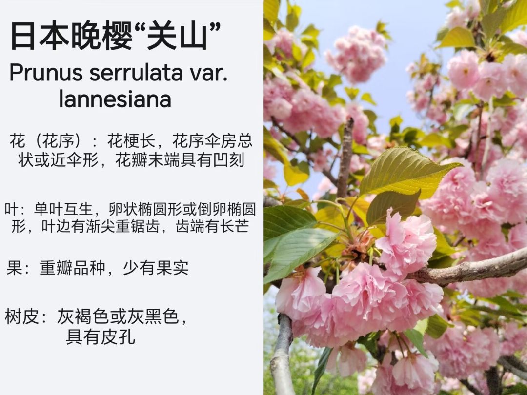 姗姗来迟地参与一下活动 2