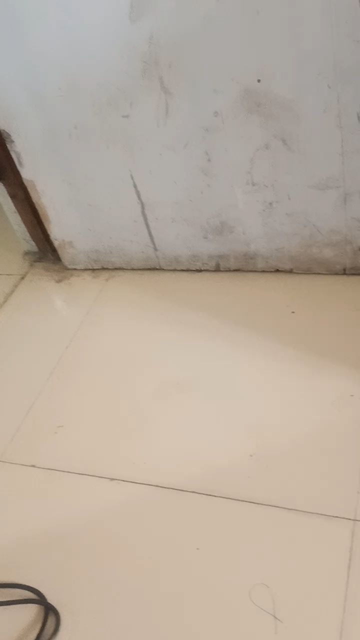 动态图片 4