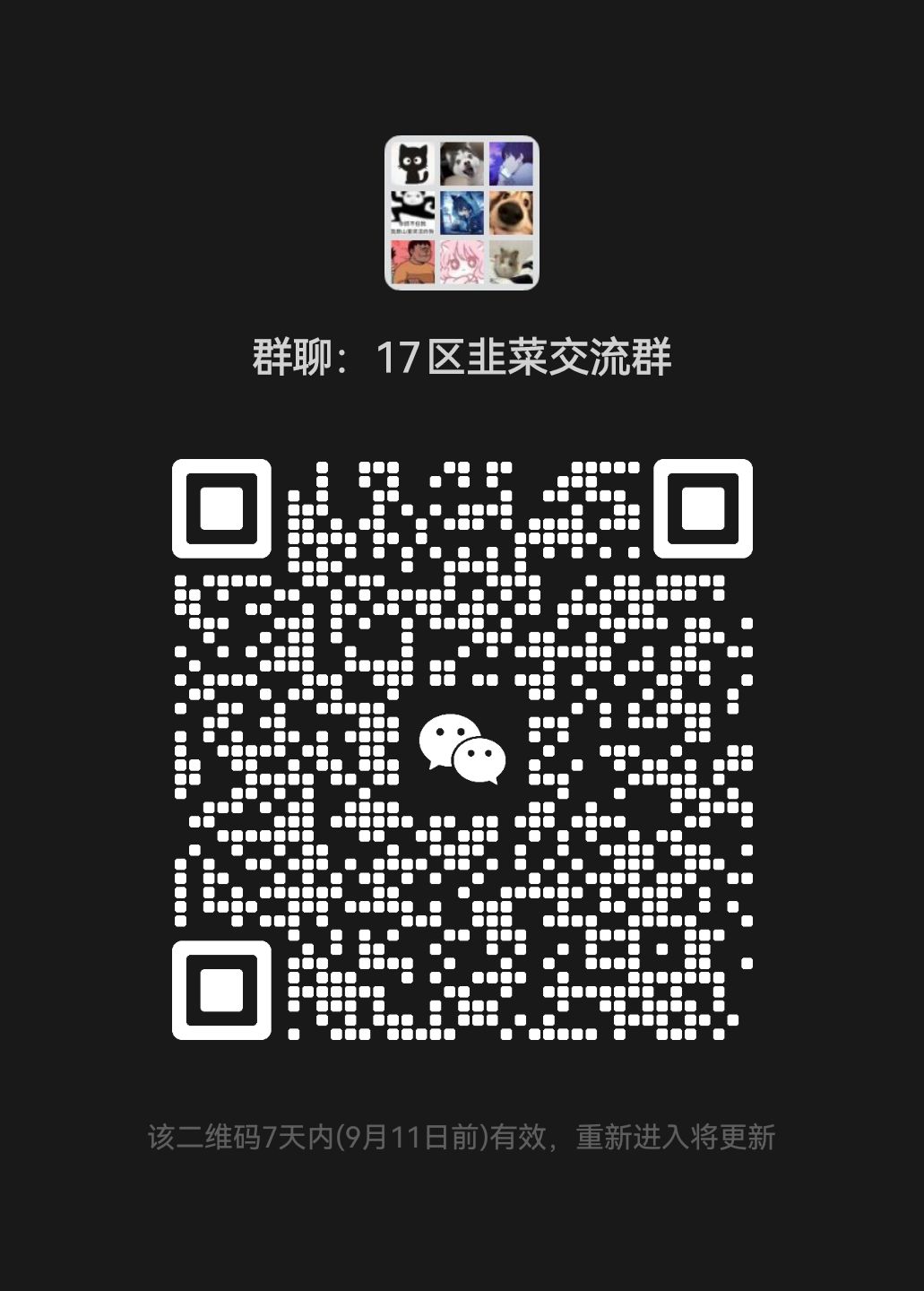 17区猛攻 1