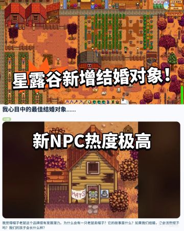 星露谷:新增结婚对象票选！有望新NPC