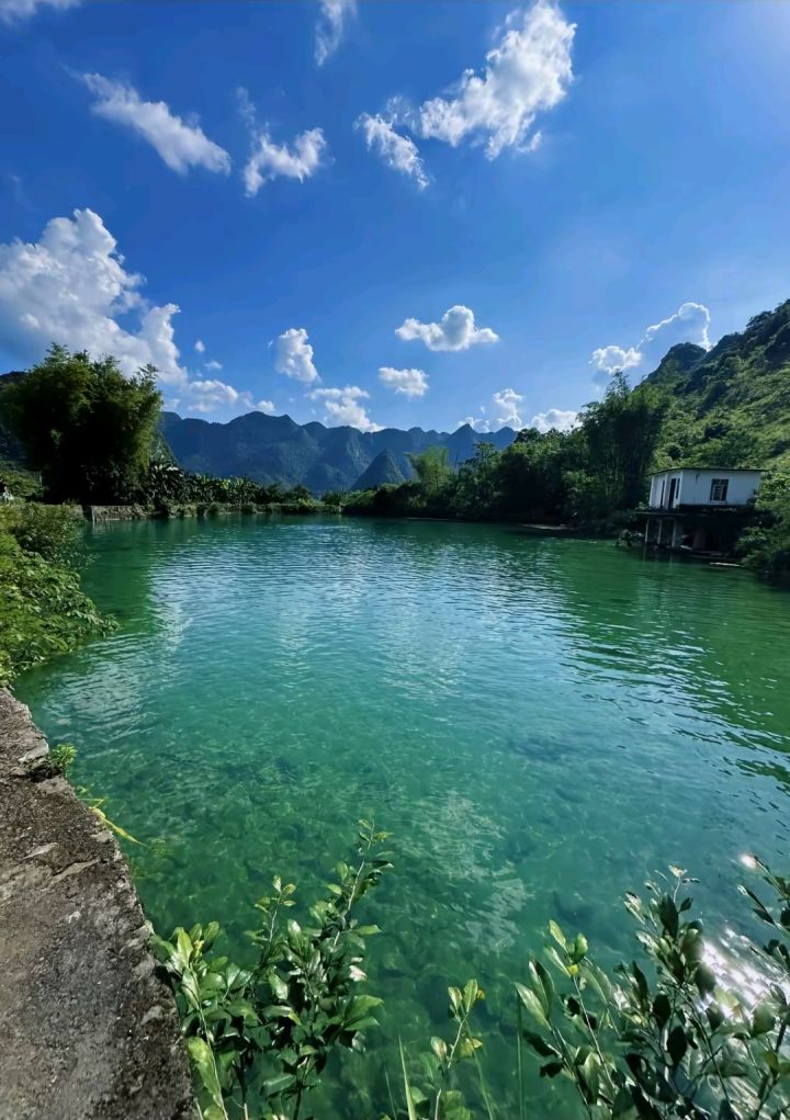 碧波荡漾截图
