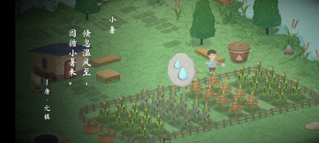 二十四节气【夏季】 5