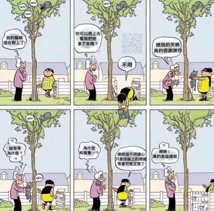 关于密令我的看法。截图