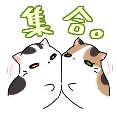 有一起玩的嘛！ 2