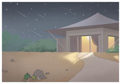 照片存档9 13
