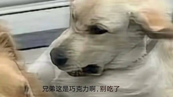 卡顿 1