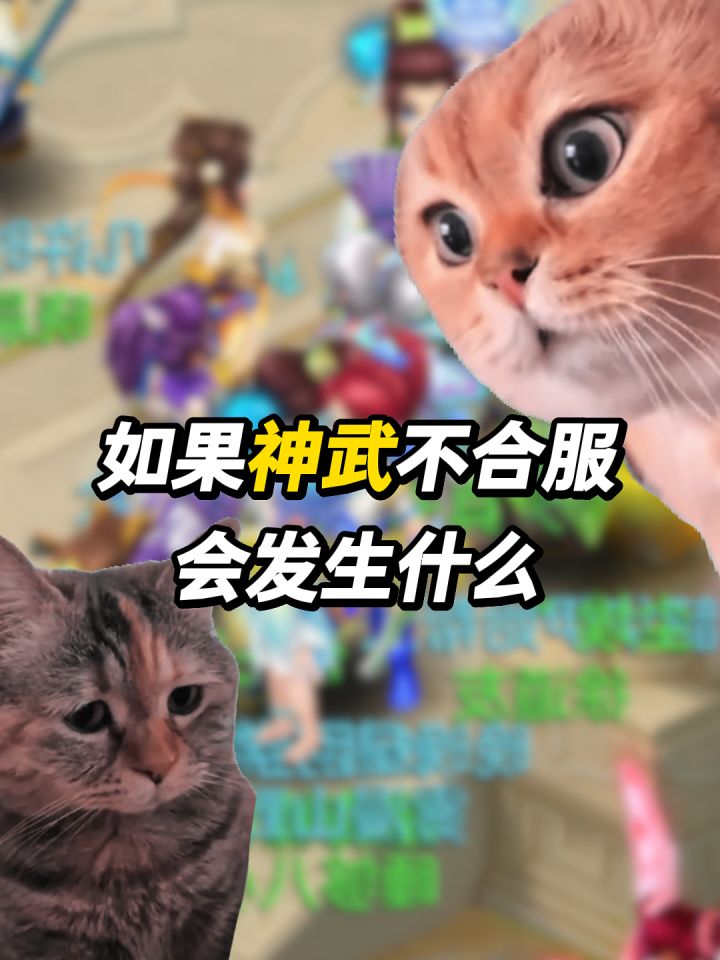 假如神武不合服游戏内会发生什么?截图