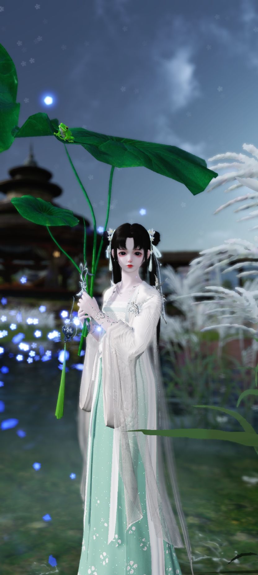 动态图片 3