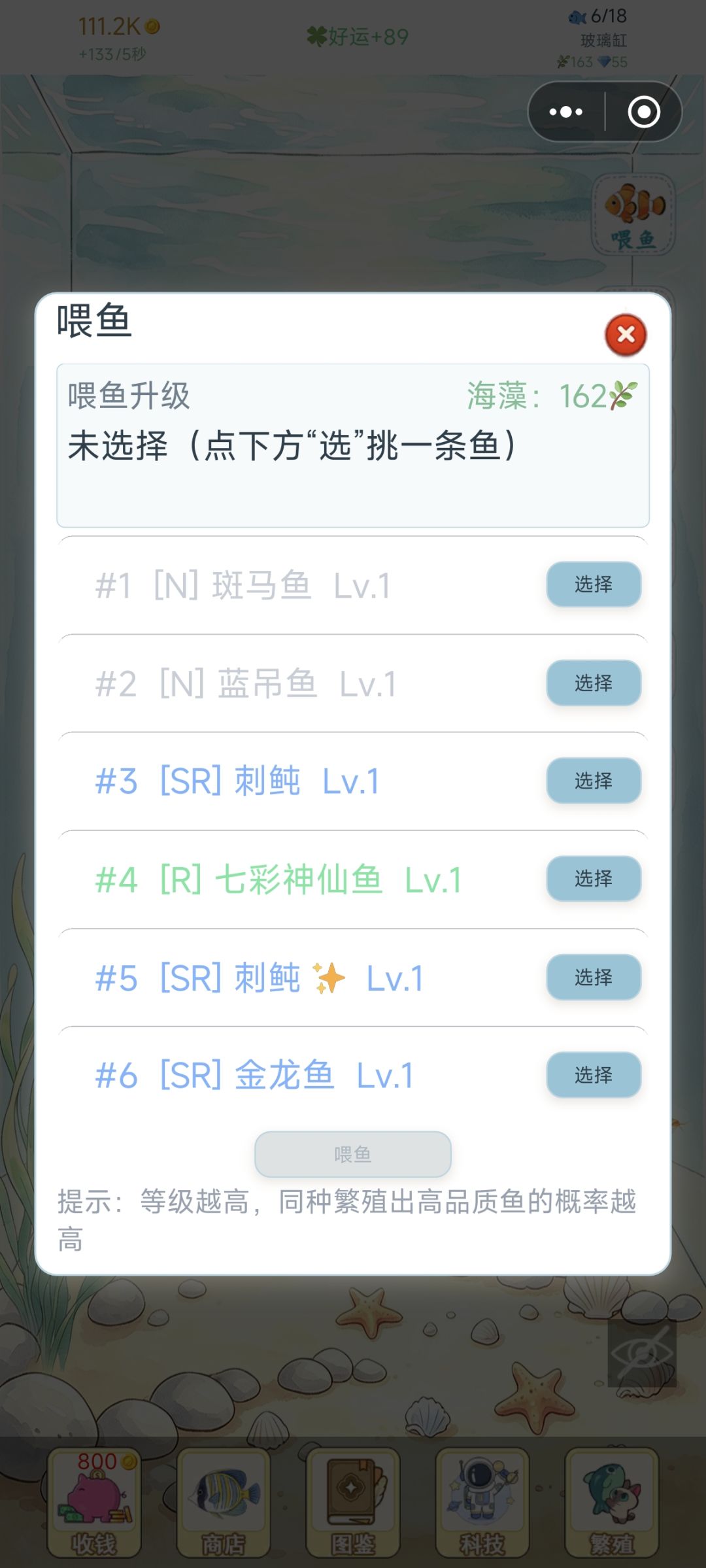 鱼莫名其妙就消失了 2