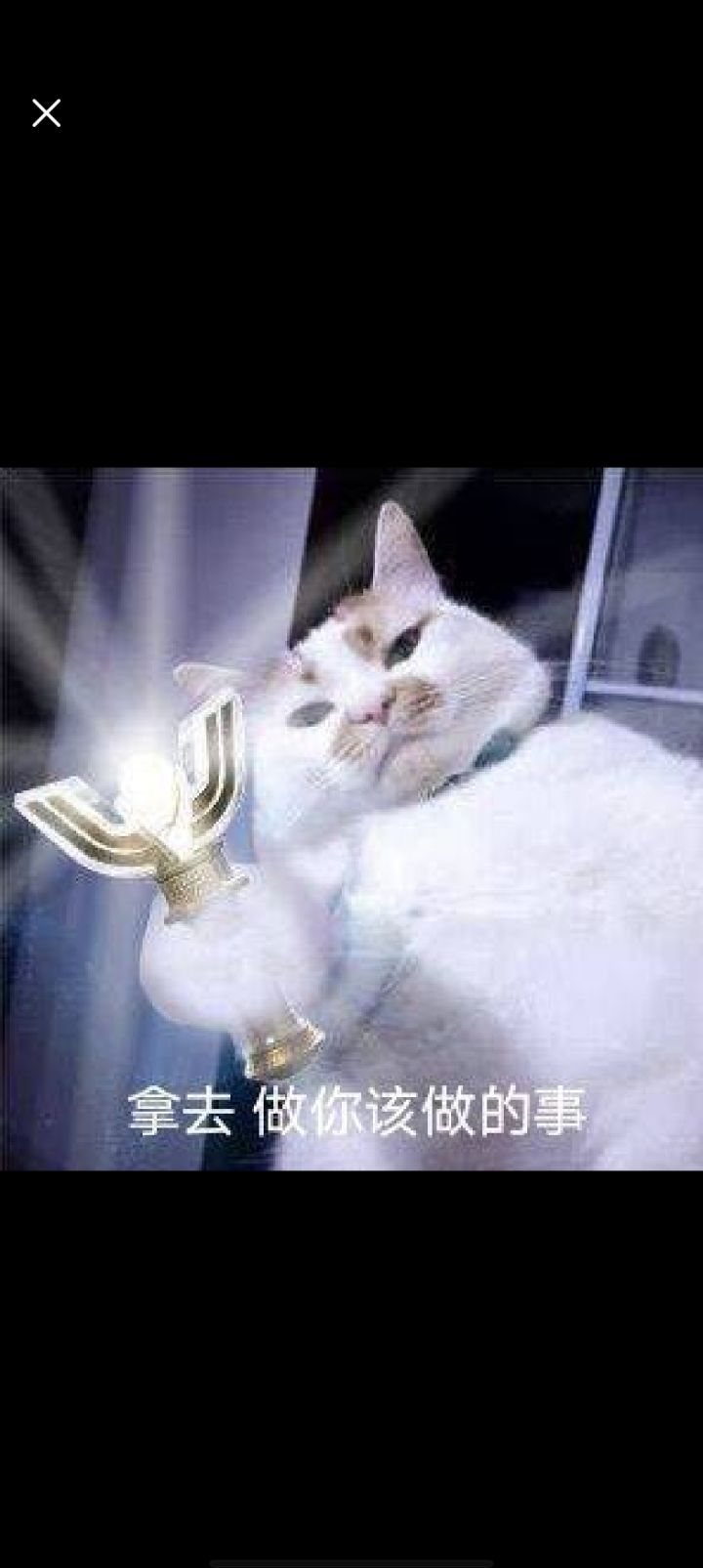 求大佬借干员截图