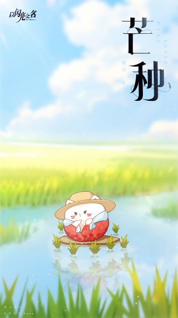 时雨及芒种