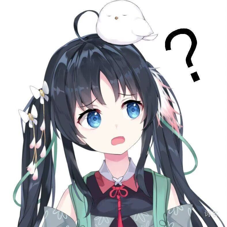 狗队笑话*1 1
