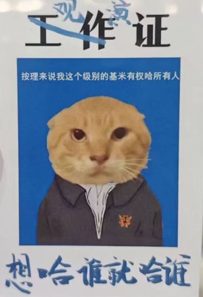 可以出一个自定义房间吗 1