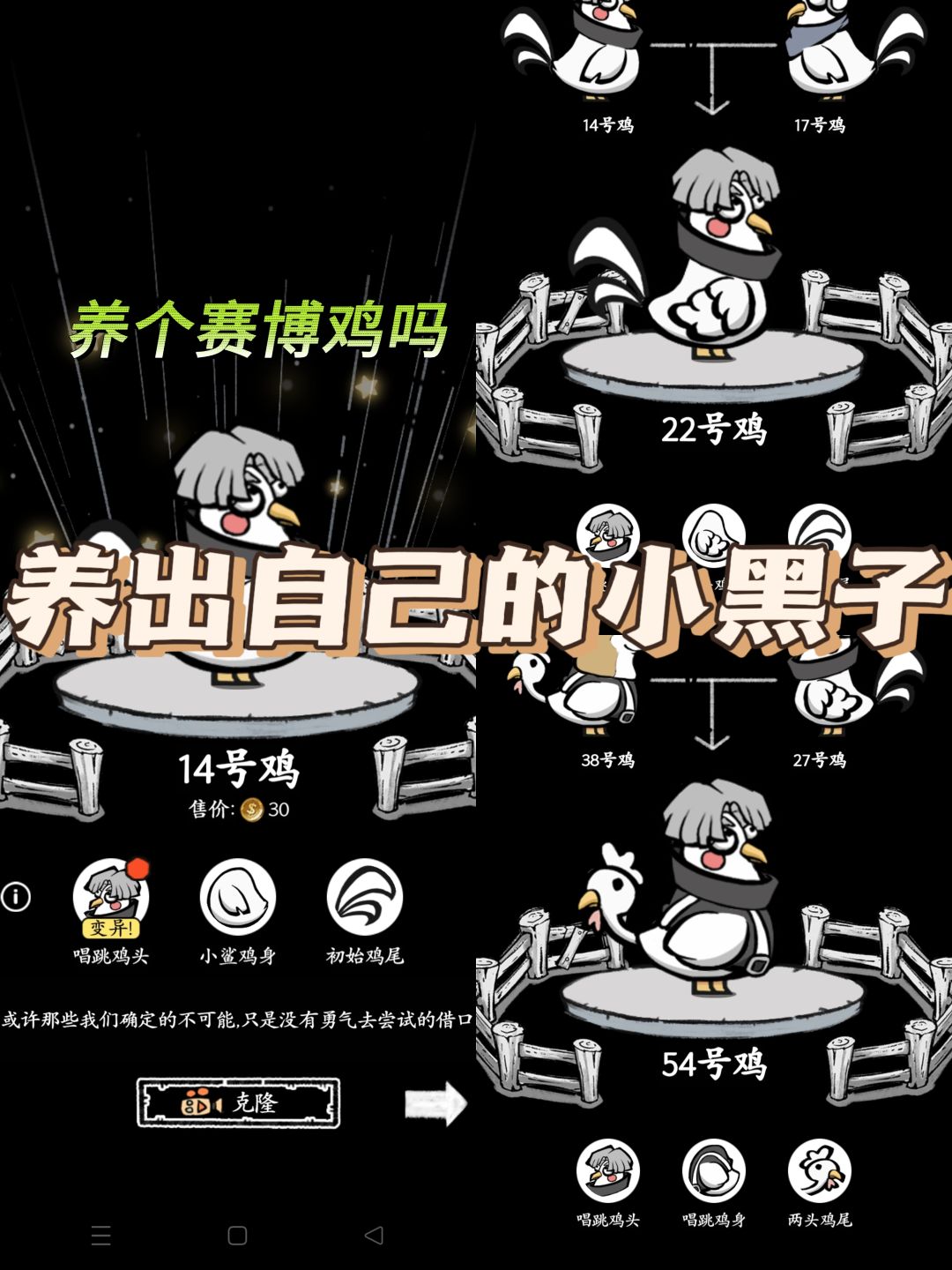 养鸡员工守则第一条:鸡不会打篮球 2