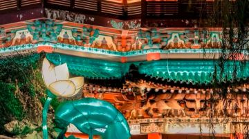 伟大的愚者先生，请保佑我测试资格