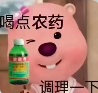 心月狐有点一般截图