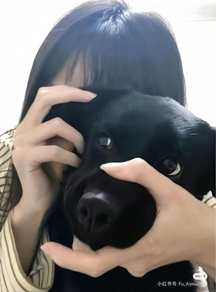 求哥大佬不玩的调和剑给我玩玩截图