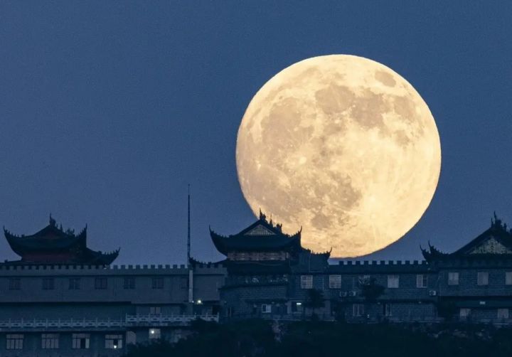 想和艾冻冻一起去赏月.截图