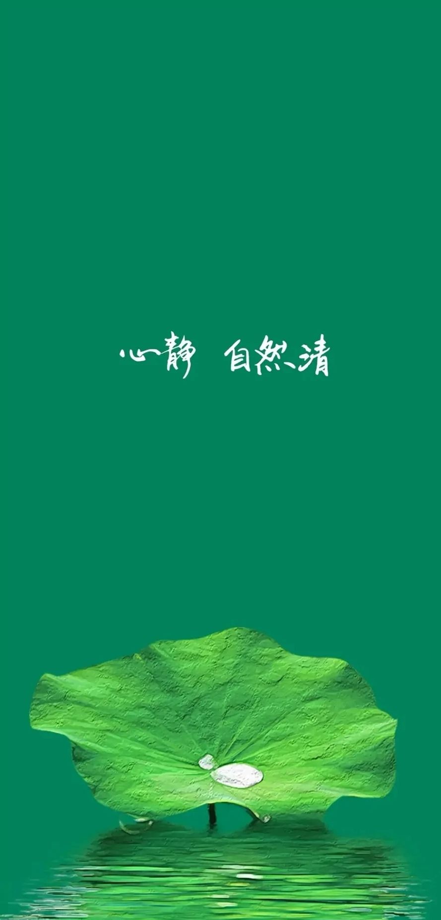 这届玩家真的奇怪 1