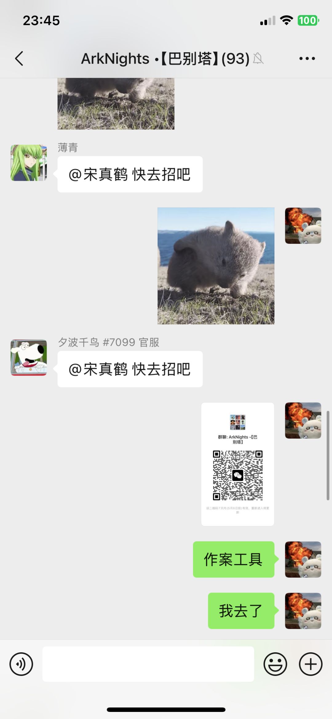 明日方舟五年老群在线招人 3
