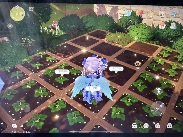 种菜bug,不显示,无法施肥,无法收货截图
