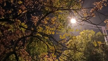 恋爱模拟器（奇幻版）结婚后对话