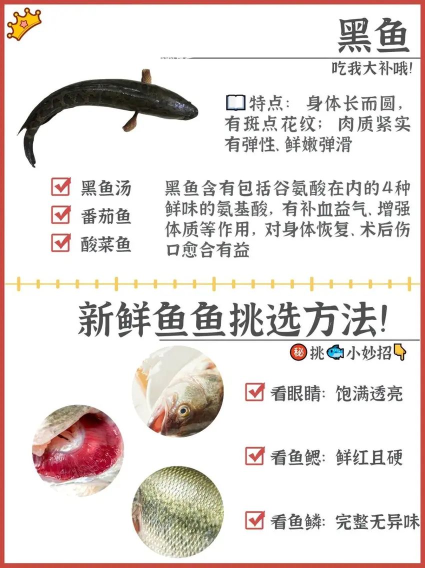 🌟青年大学习|淡水鱼的种类&吃法🌟 2
