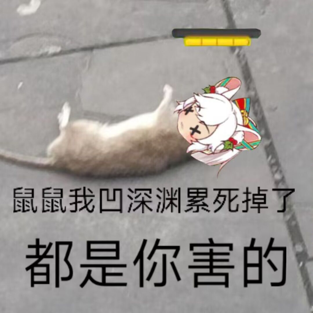 动态图片 2