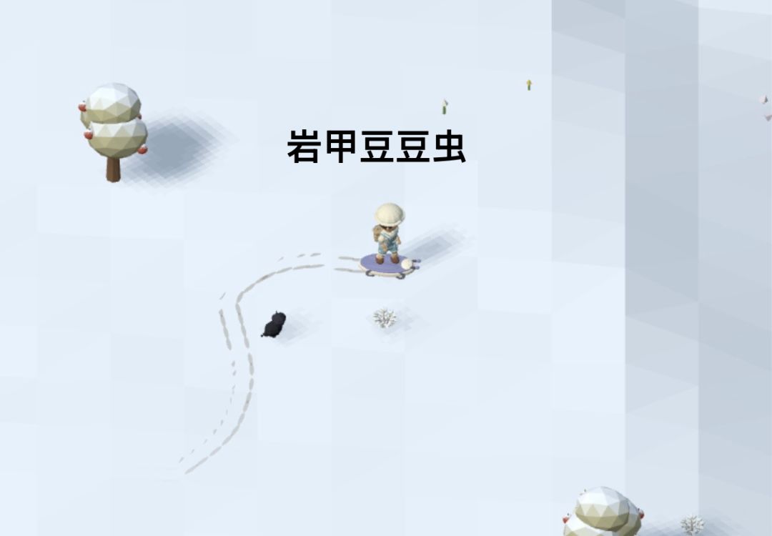 记录/去你的岛/目前拥有的滑板外观 15