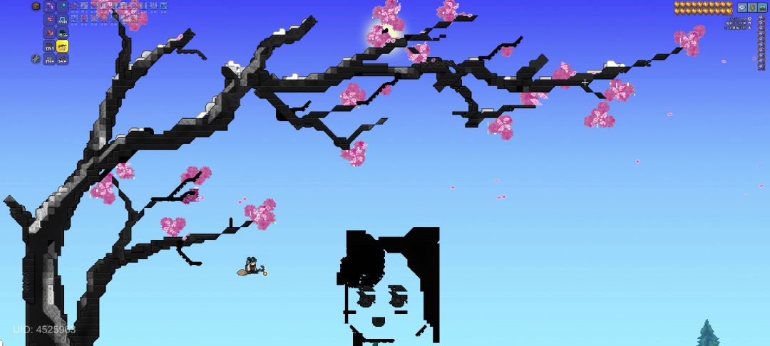 🌸🌸🌸 1