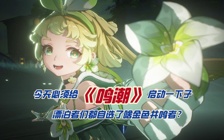 今天必须给《鸣潮》启动一下子,漂泊者们都自选了啥金色共鸣者?截图