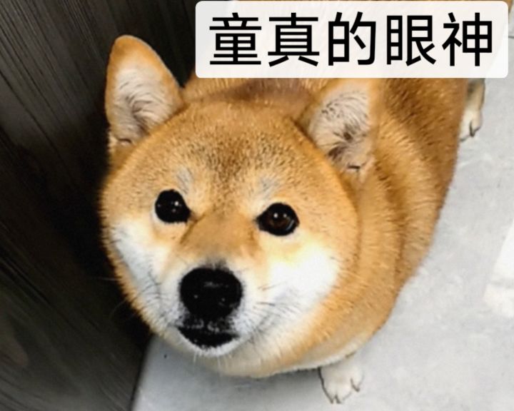 整点tap签到活动,肉鸽老地图探索玩法也行截图