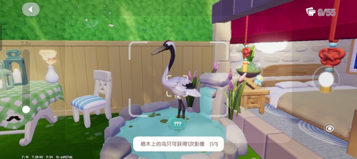 上个季节的鸟!!!!截图