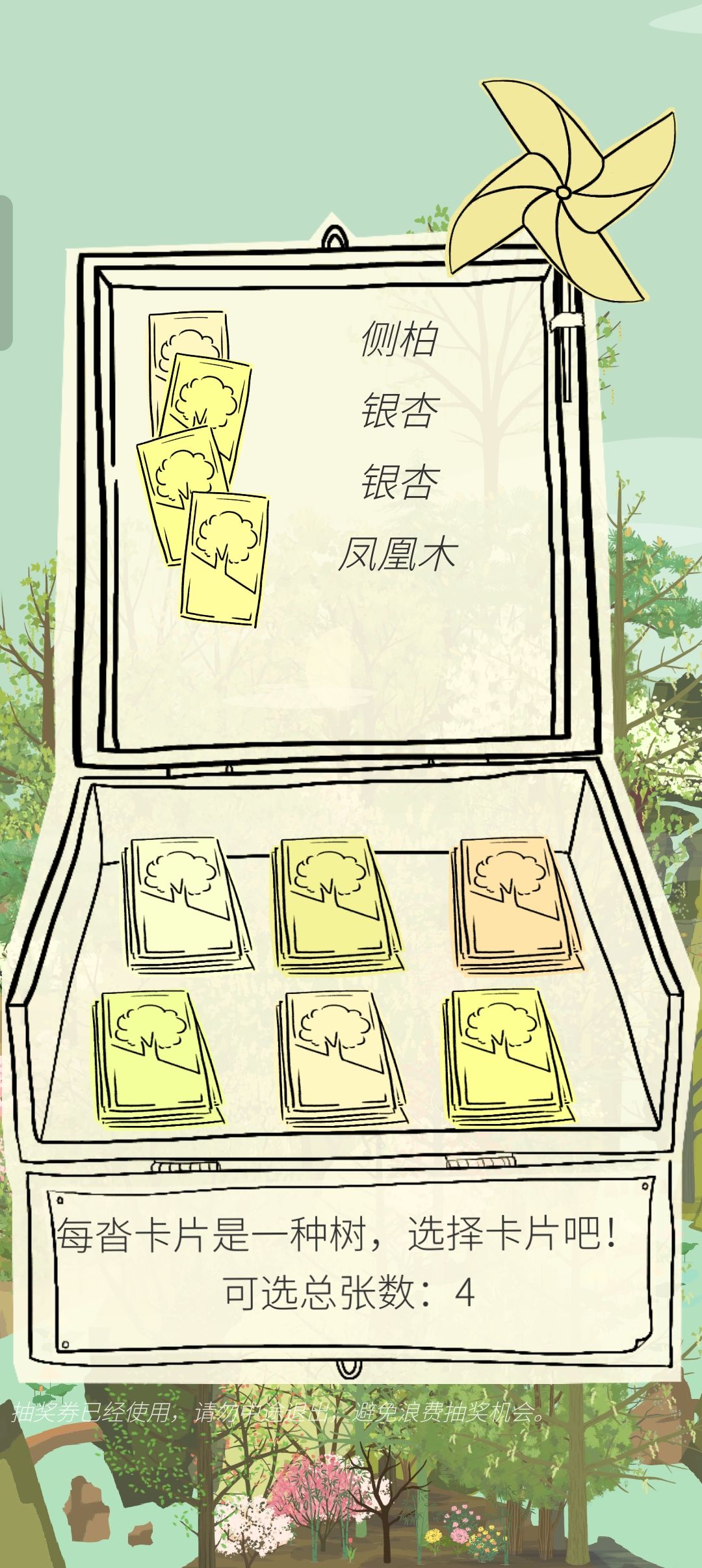 花开啦 2