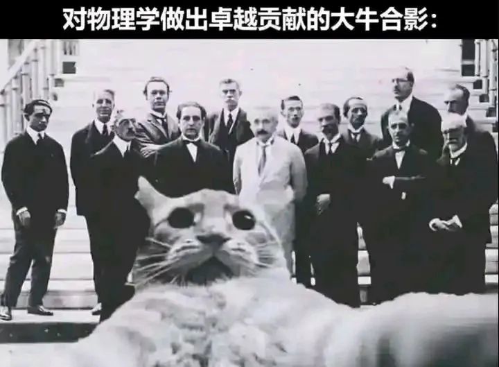 ✨今日份梗图分享第二十九期✨ 2