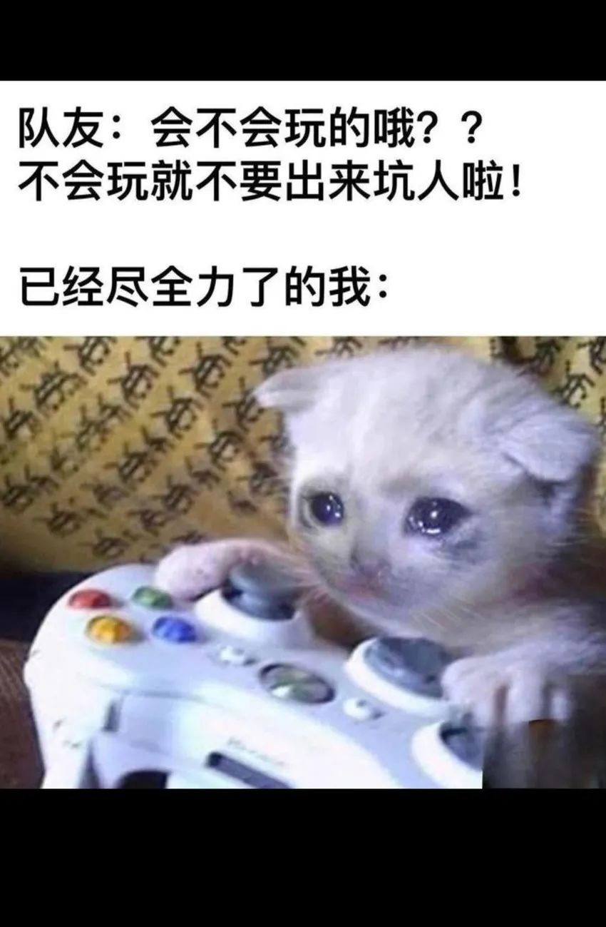 ✨今日份梗图分享第七十四期✨ 2