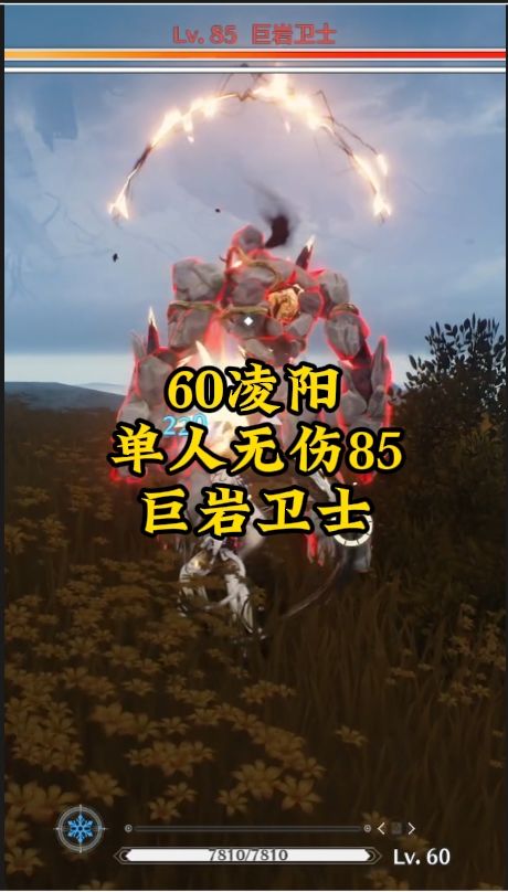 video-3952438