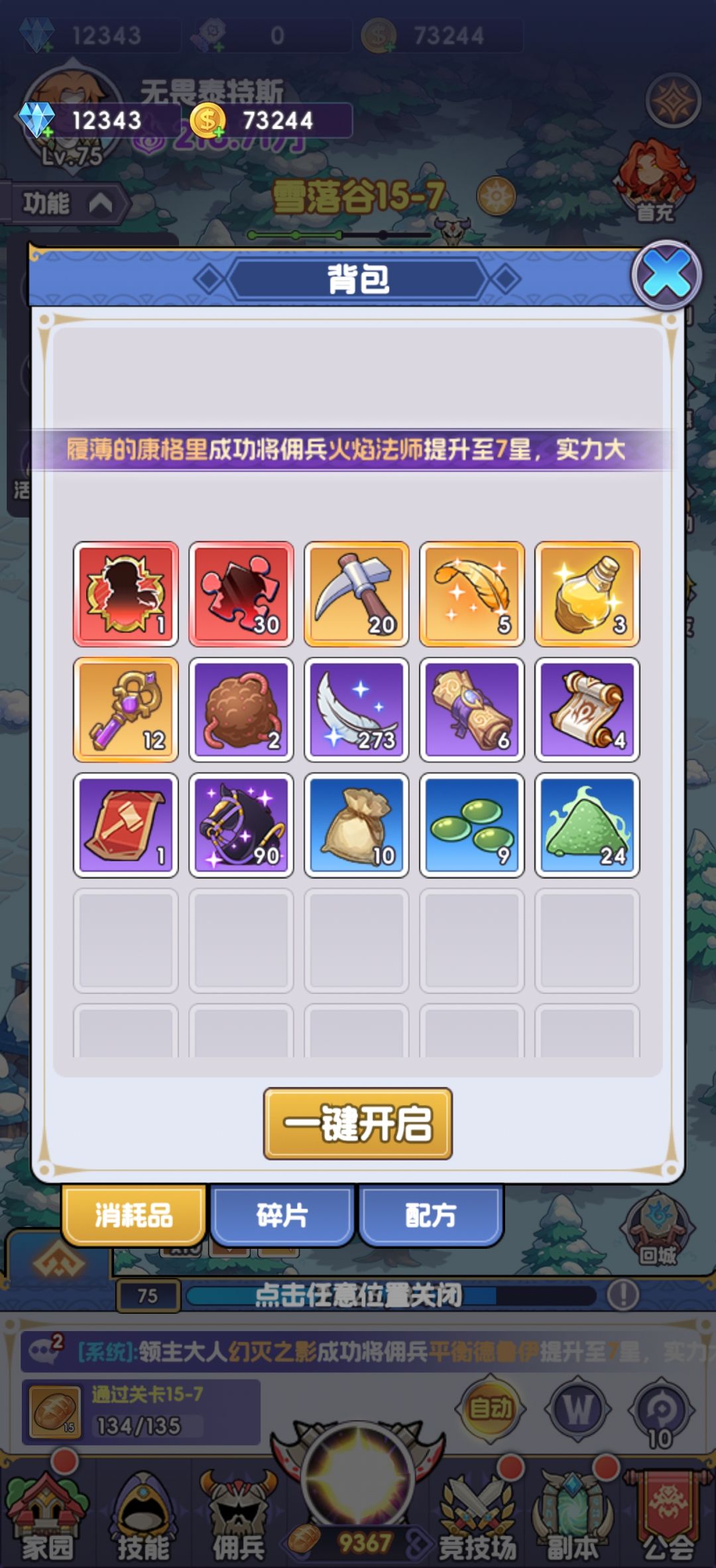 各位大佬们我这佣兵该怎么配对 2