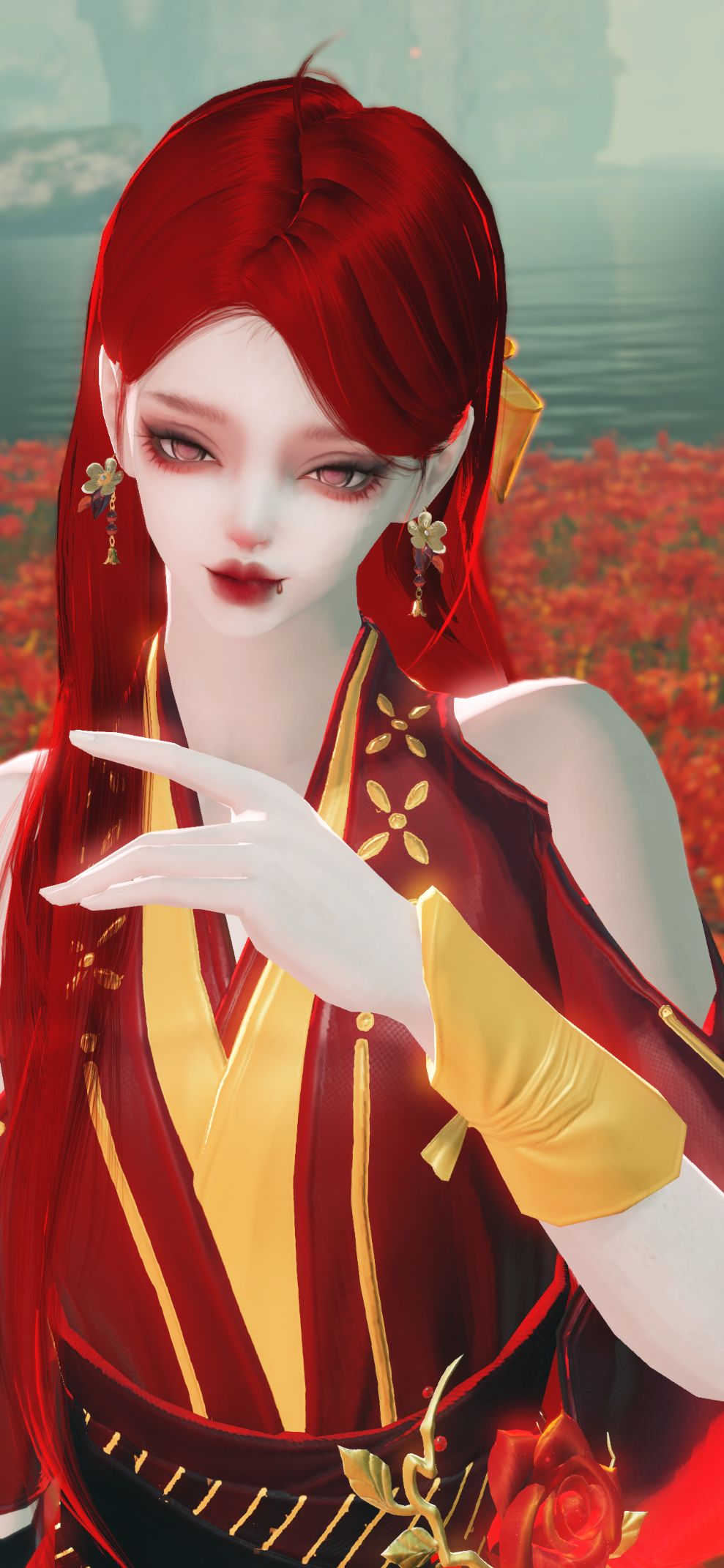 红鹦鹉 1