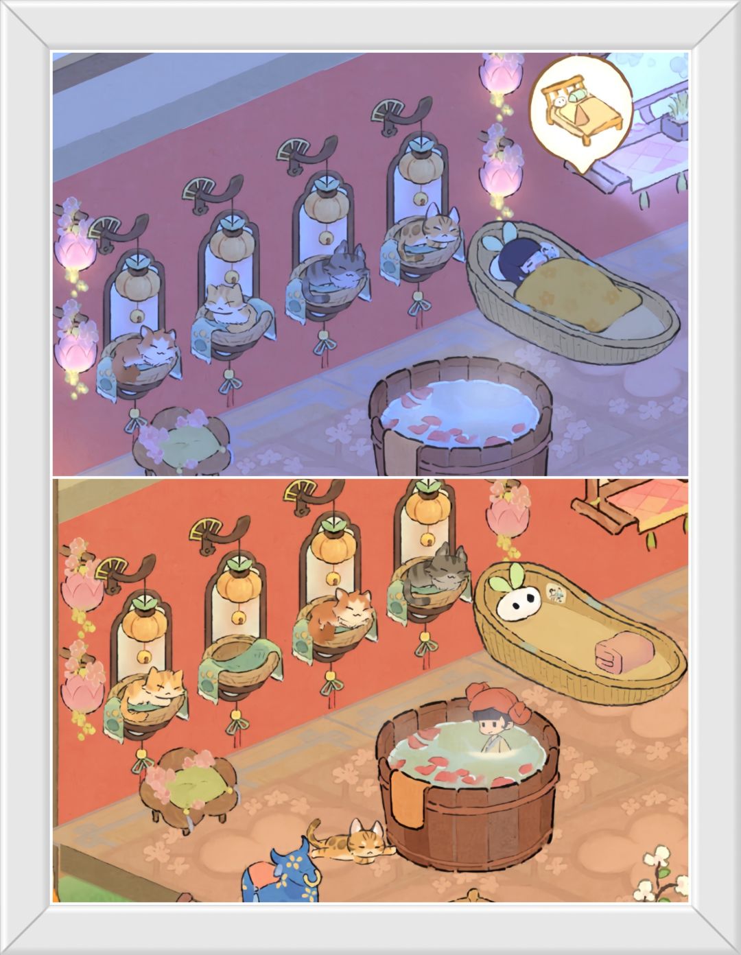 你家的猫咪睡觉听话吗? 1