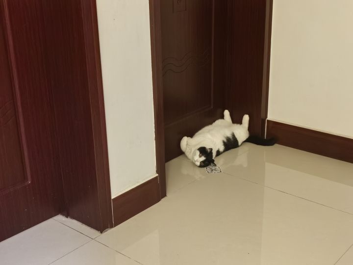 有没有大佬记得是什么游戏~截图