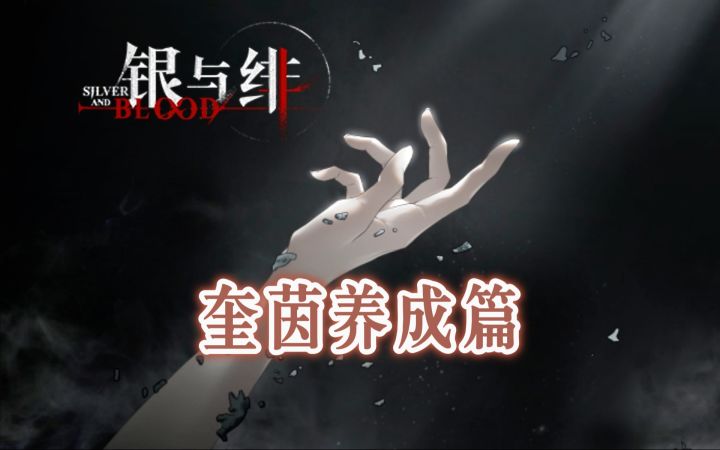 《银与绯》奎茵怎么养成?截图