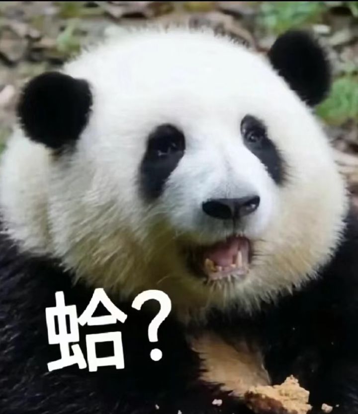 这个游戏氪度怎么样？截图