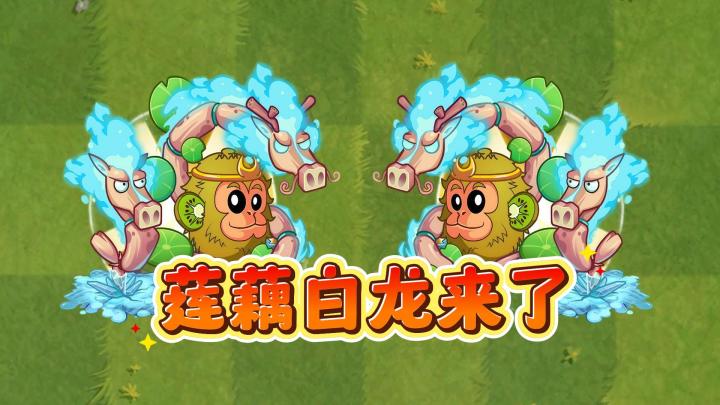 拥有双形态的藕花白龙，1至5阶有多离谱？截图