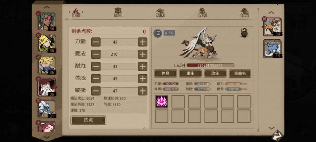 宠物 1
