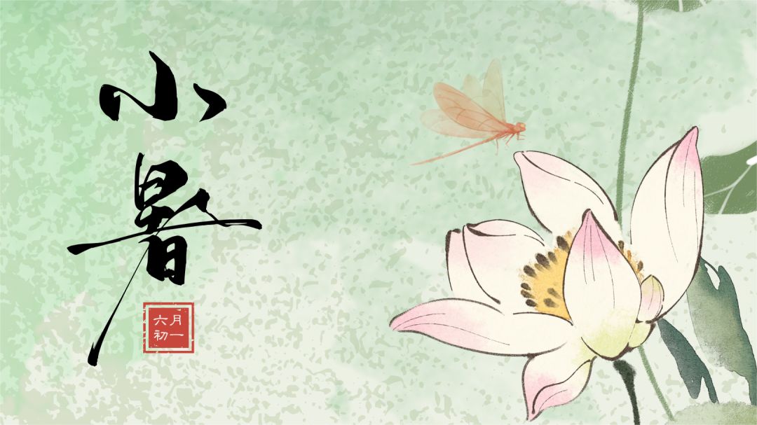 【兑换码】节气 · 小暑截图