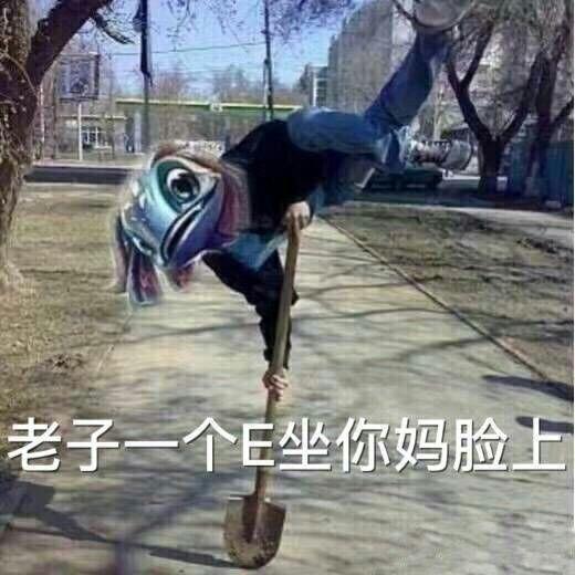 投票你在猫叫什么是不是39-1 1