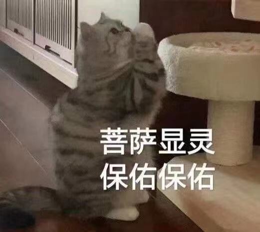 新手,能给我一点玩d5的建议嘛?截图